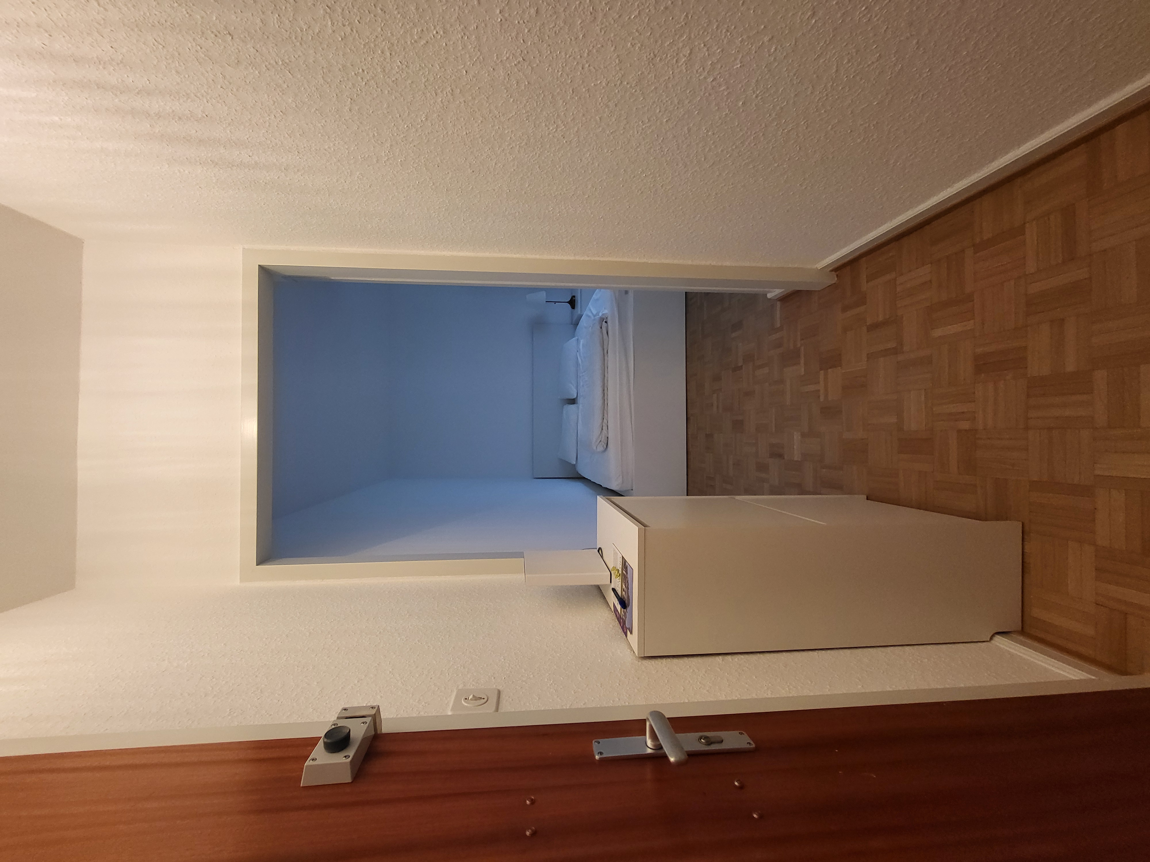 Entrance of the apartment