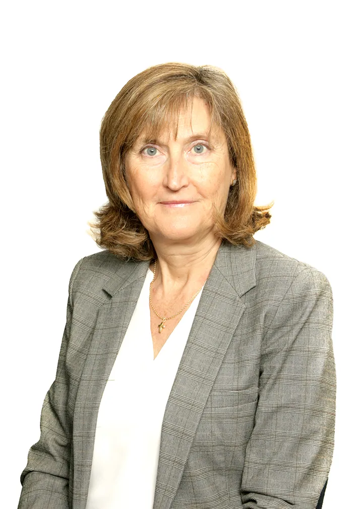 N. Lopez-Hernandez