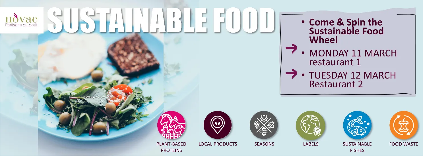 Come and spin the sustainable food wheel!