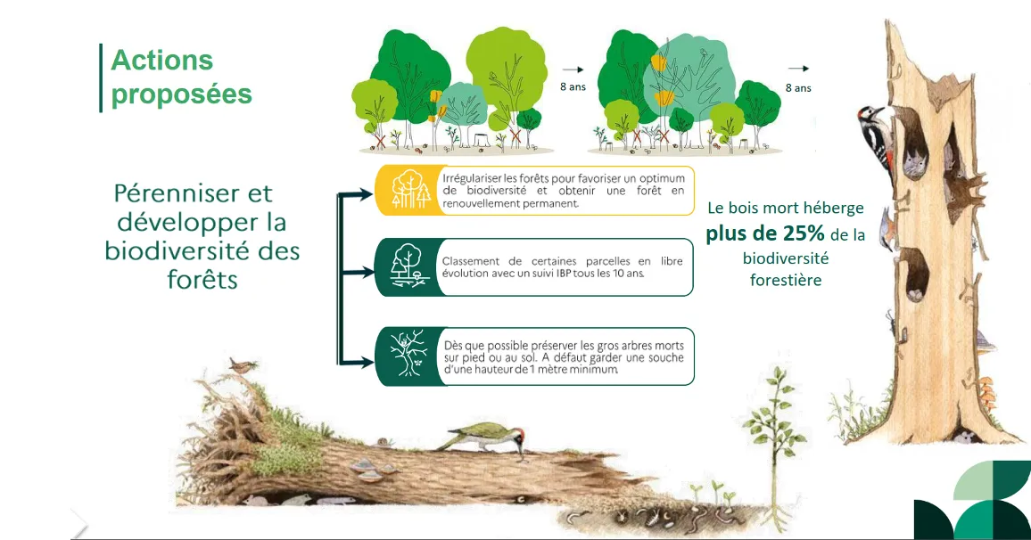 Nouveau plan de gestion des forêts du CERN