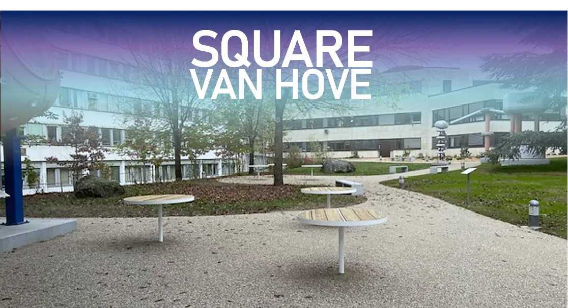 Square Van Hove Renovation